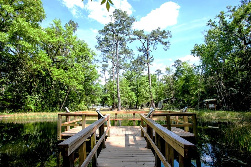 Black Creek Village Community AMH Homes