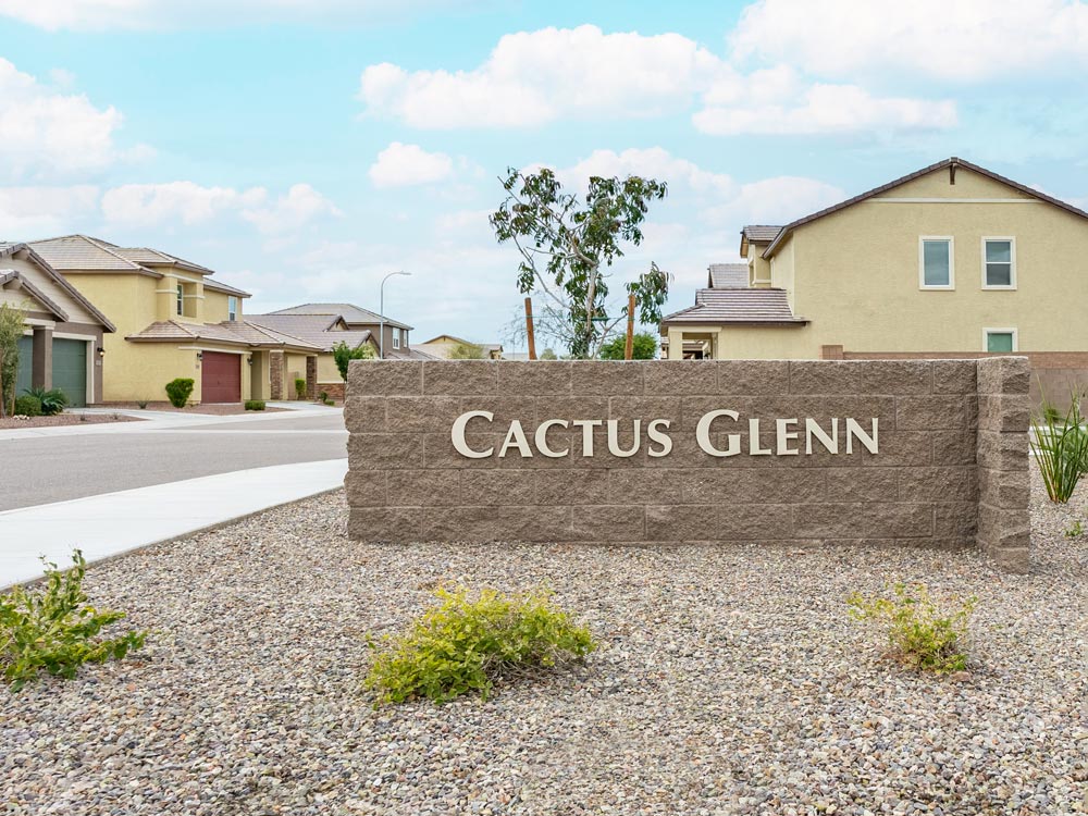Cactus Glenn Community AMH Homes