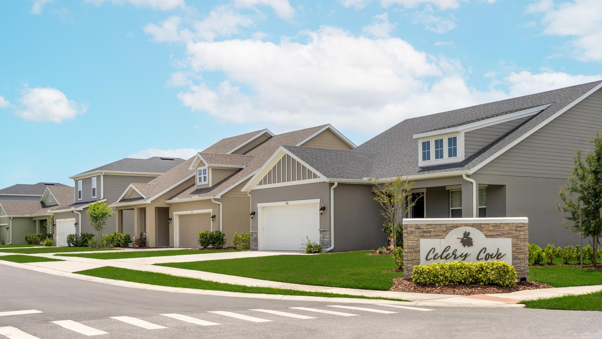 Celery Cove Community AMH Homes