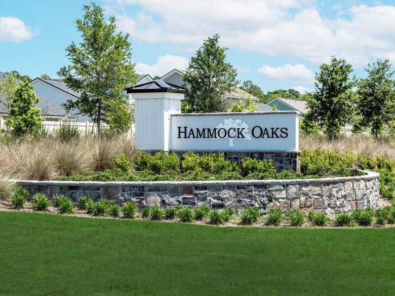 Hammock Oaks Community AMH Homes