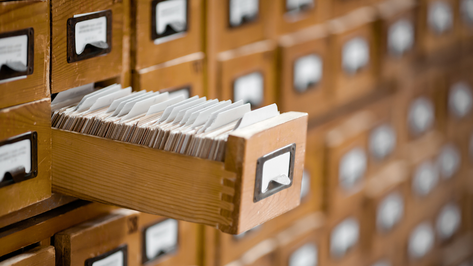 Organize knowledge base