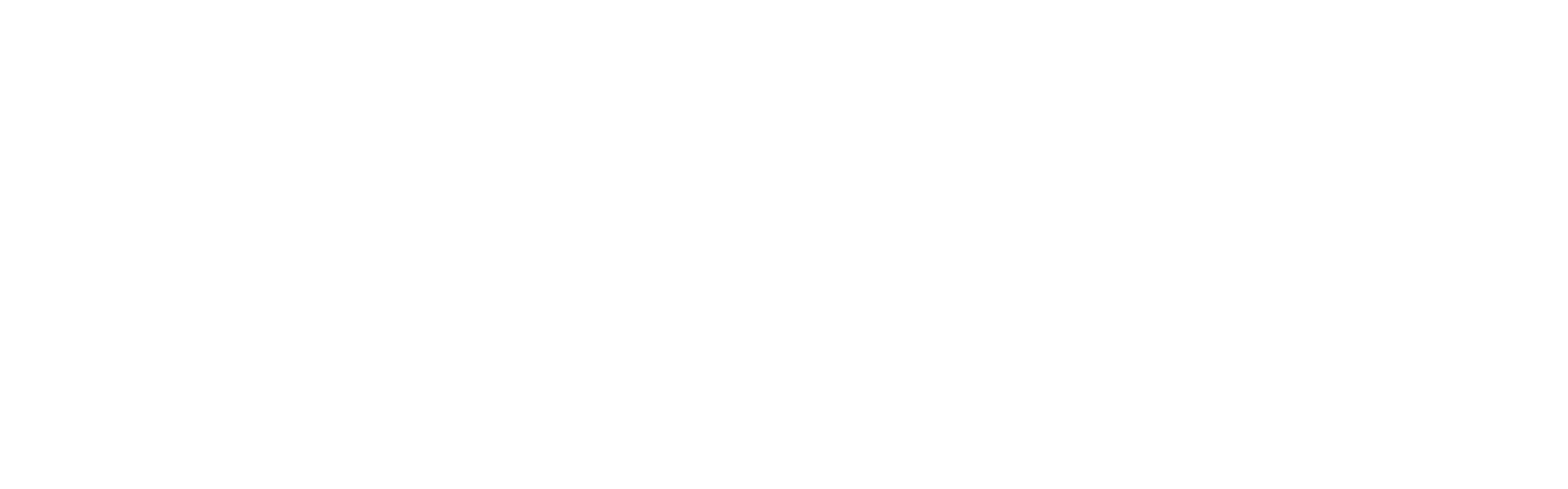 iCTO White Logo