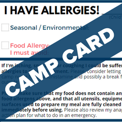 Summer Camp Checklist for Kids With Allergies