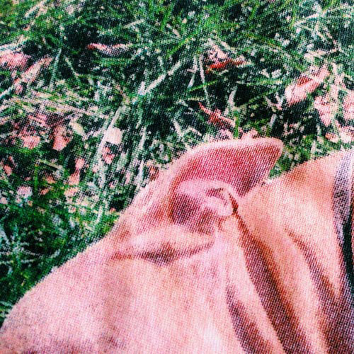 close up of dog ear lying in grass