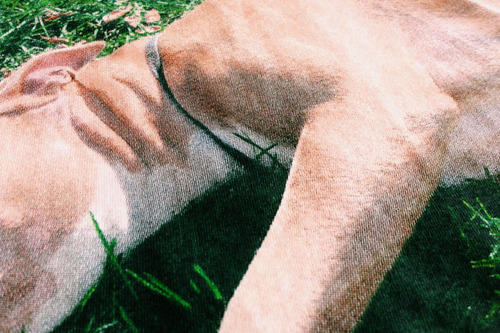 dog lying in grass