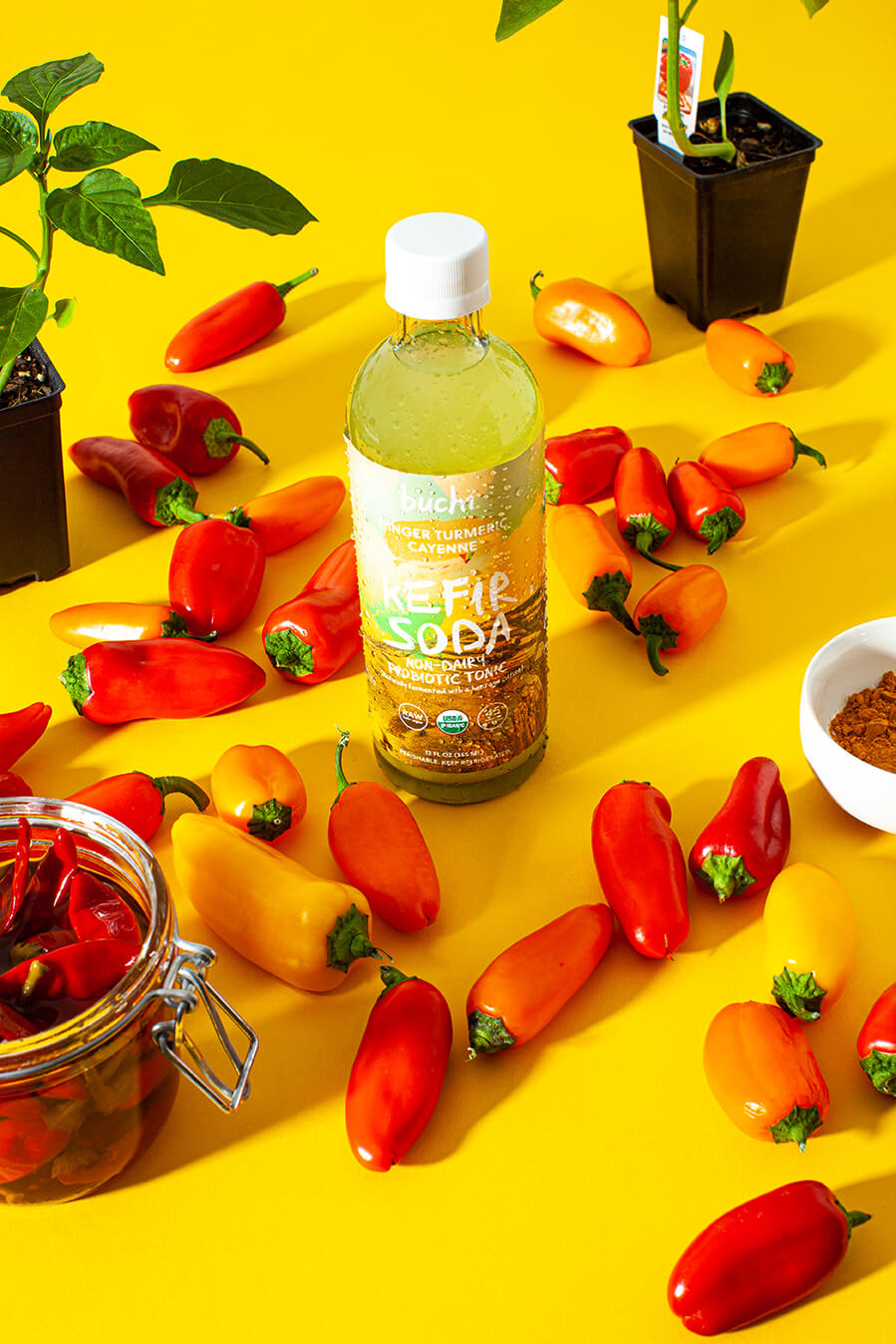 Ginger Turmeric Cayenne Buchi Kefir Soda