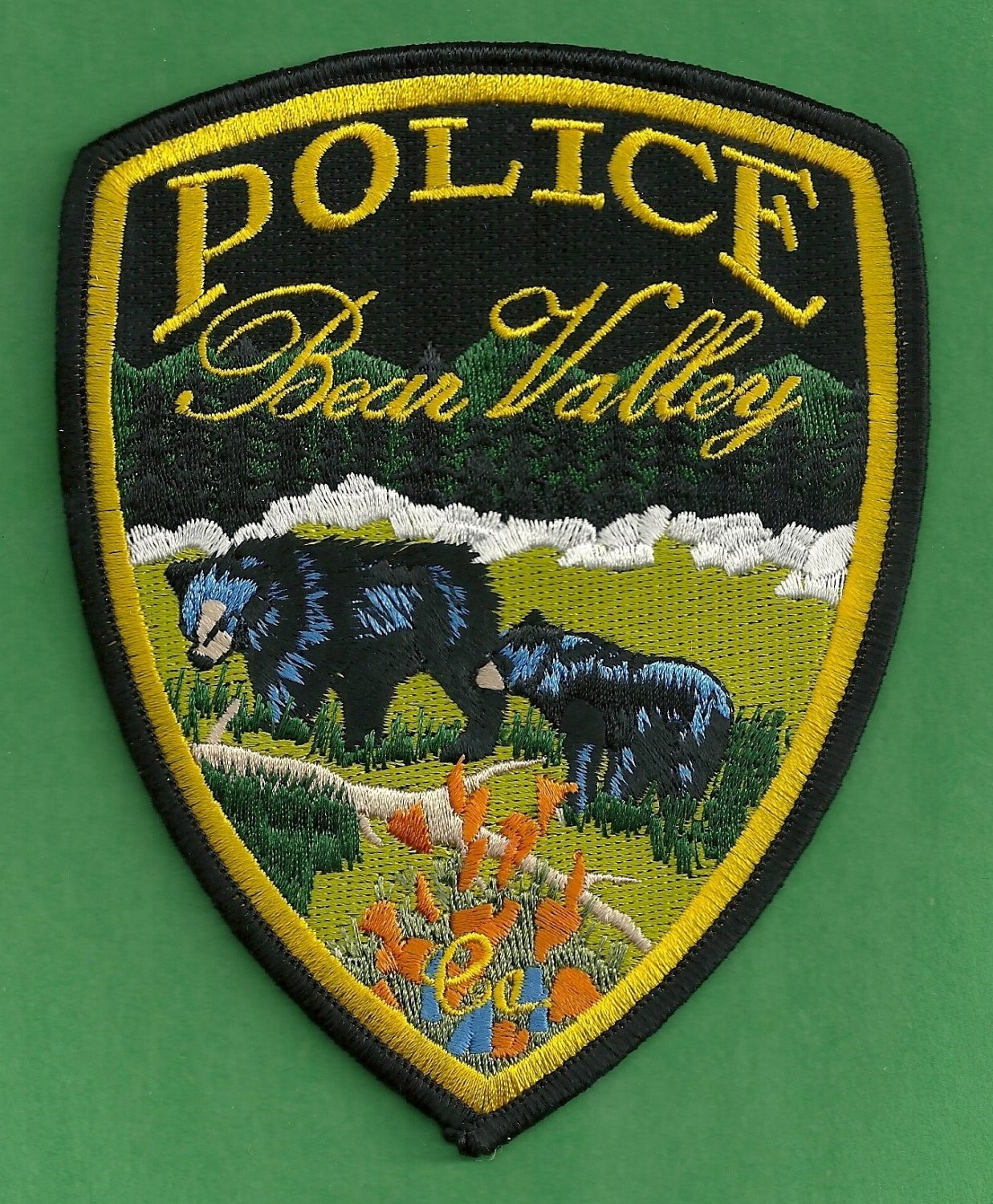 BEAR VALLEY POLICE DEPARTMENT - Press Release
