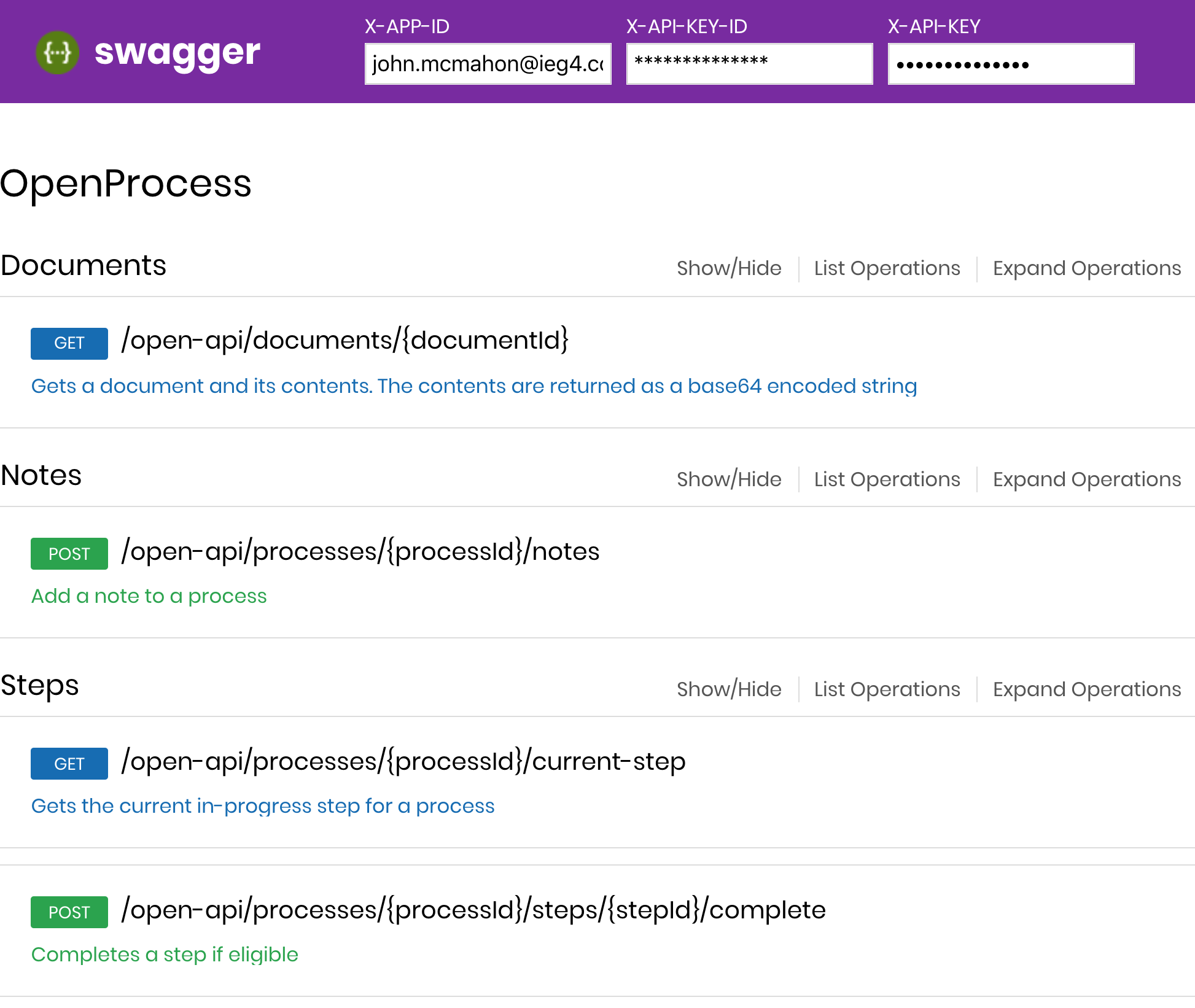 Swagger.io showing IEG4's open process api documentation