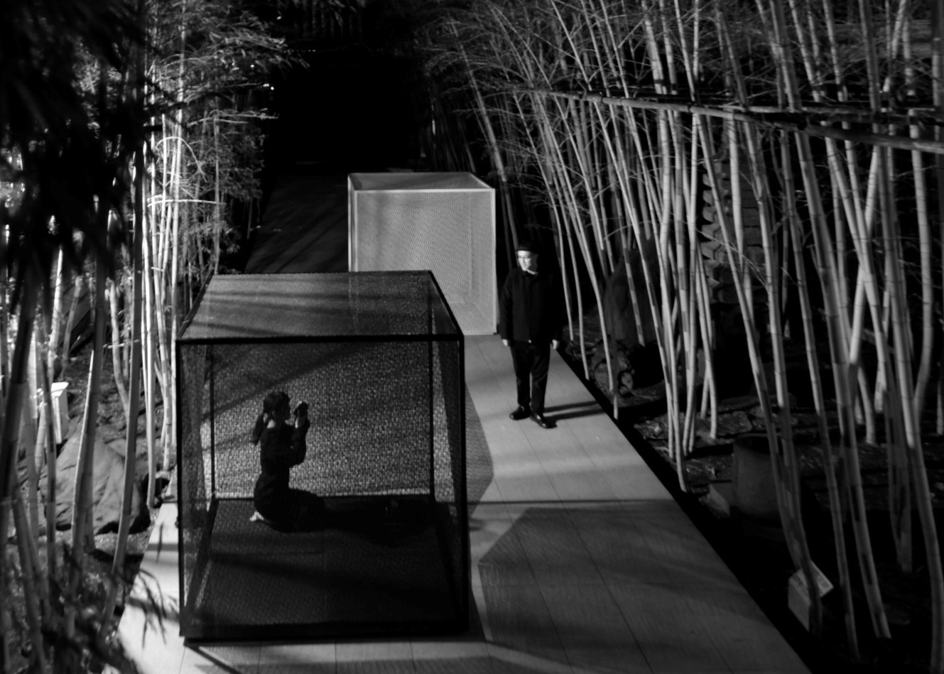 i-mesh-projects-tea-room