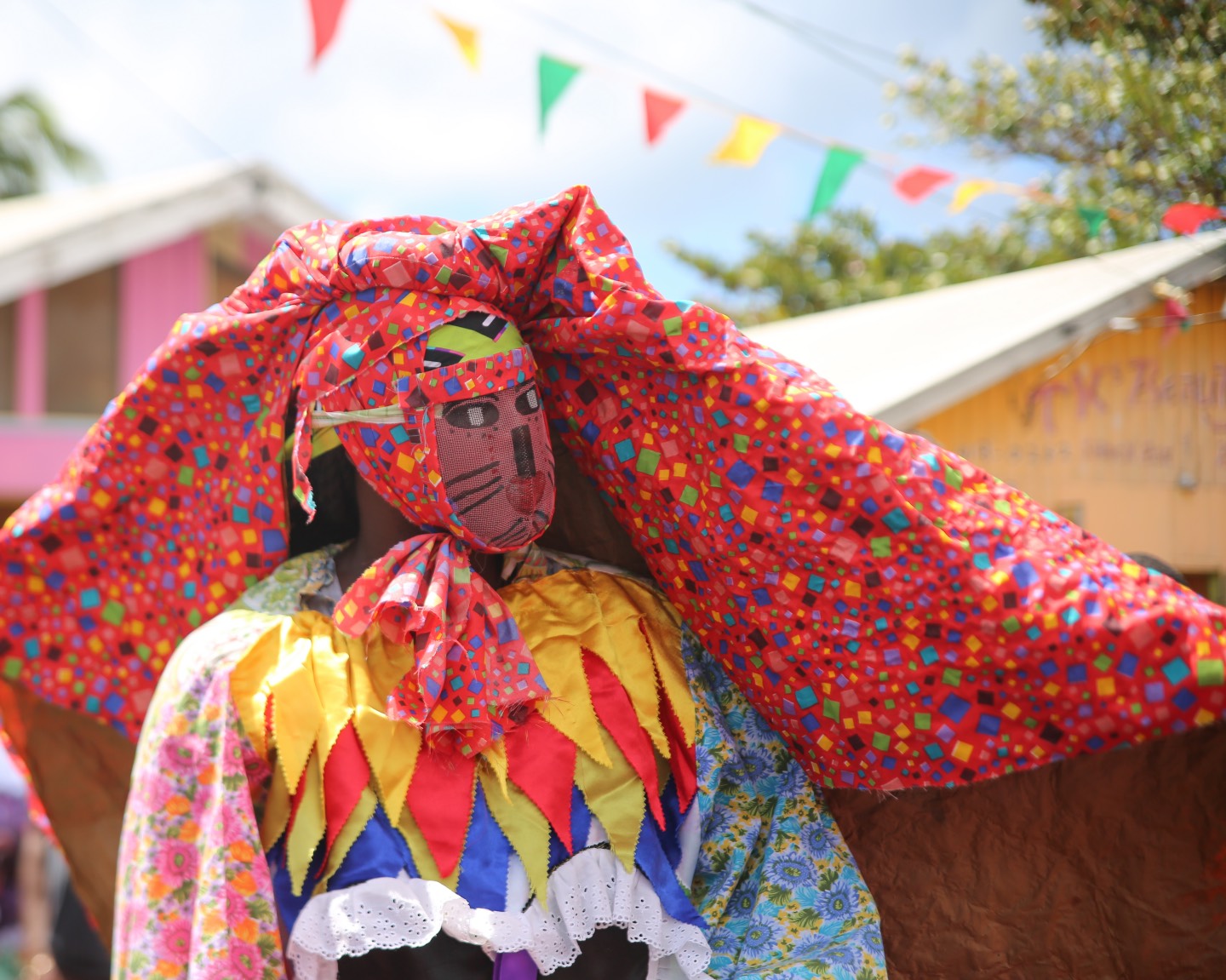 Carriacou Carnival Ins & Outs of Grenada
