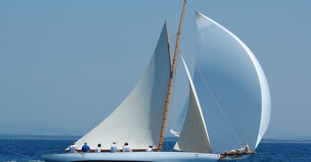 What Is Sail Roach? Life of Sailing