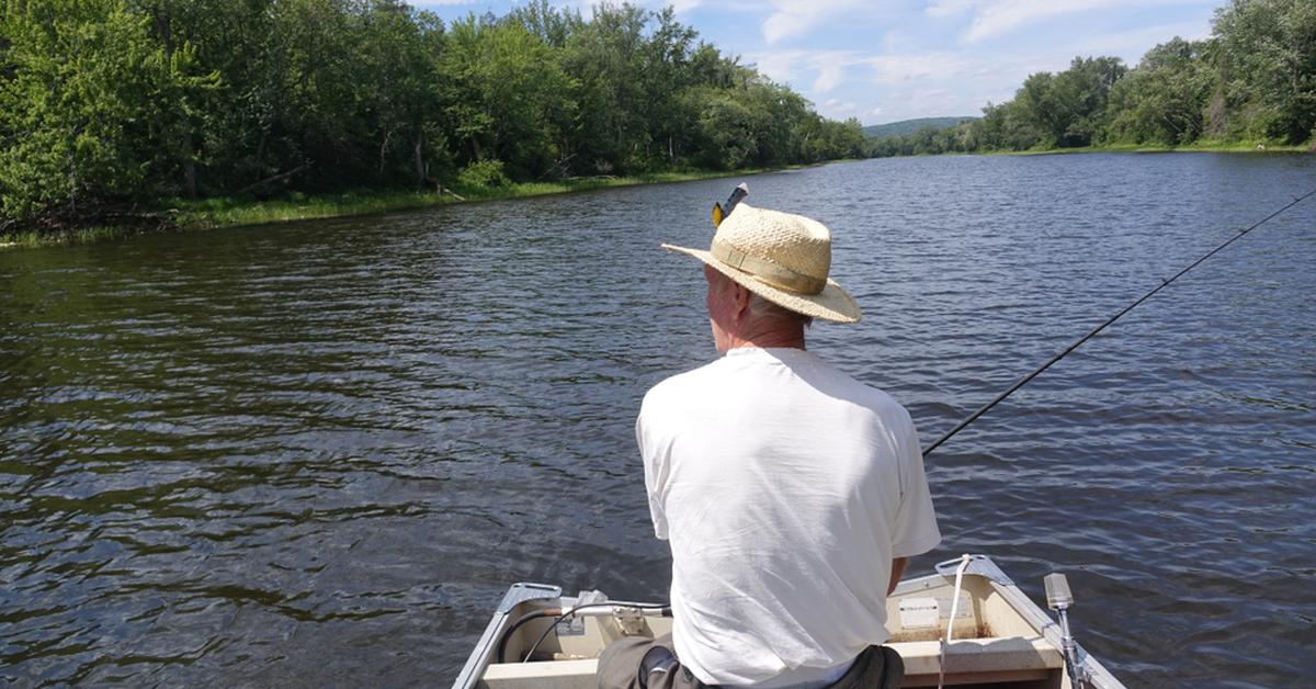 Benefits of Retiring In Arkansas (Pros & Cons) Retire Fearless