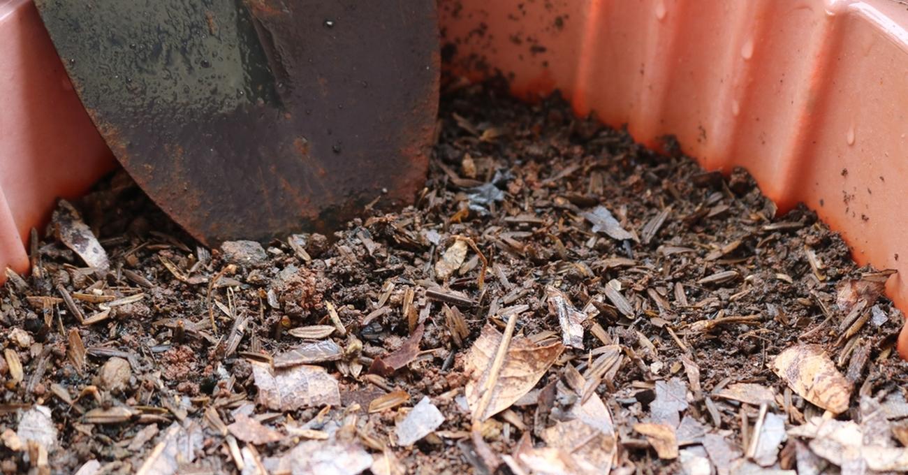 Can You Use Garden Soil To Plant Trees? Retire Fearless