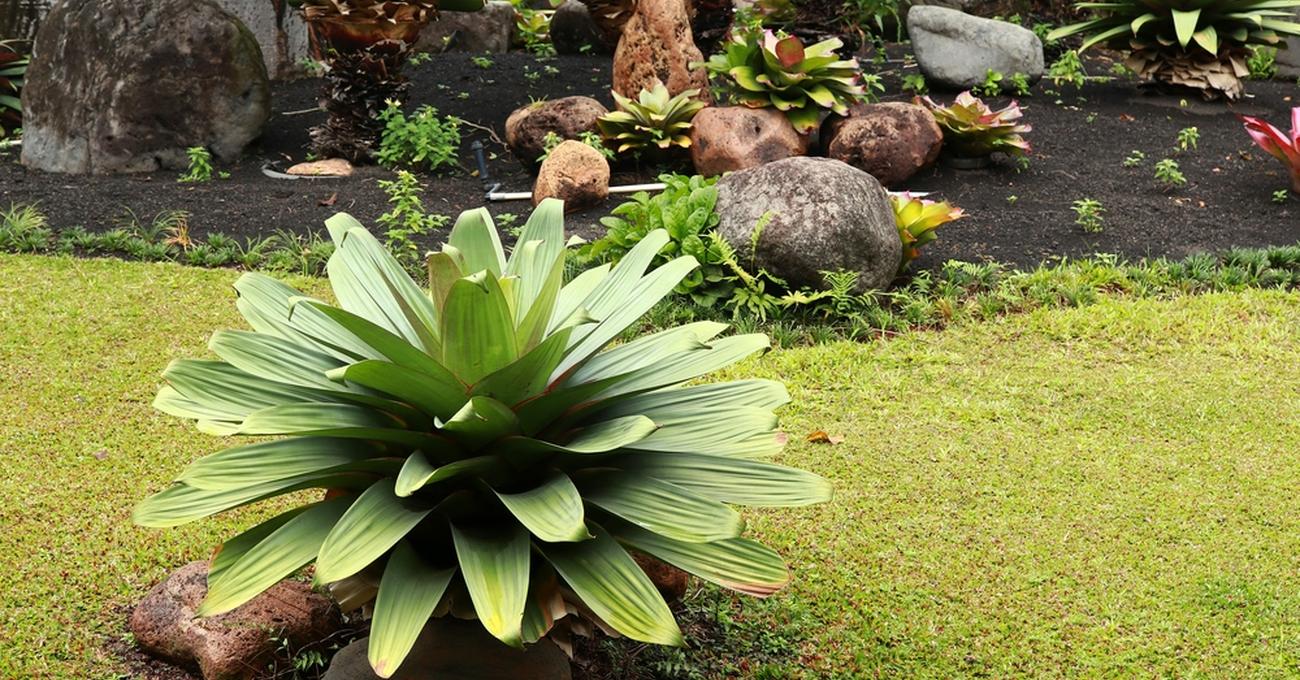 Garden Design Elements Retire Fearless Garden Design Elements Retire Fearless