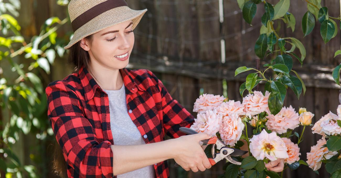 When To Trim Flower Bushes Retire Fearless