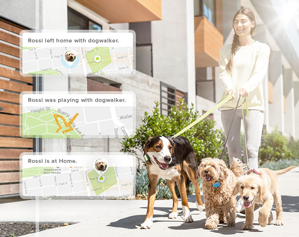 timeline image with UI