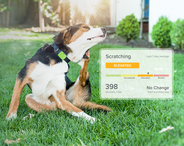 health image with ui