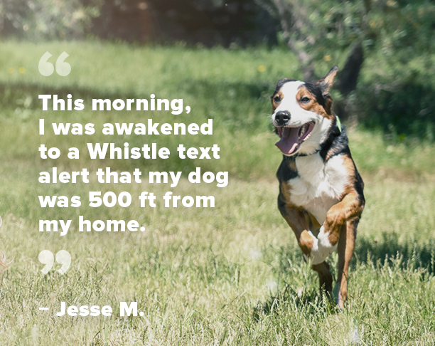 safety customer quote