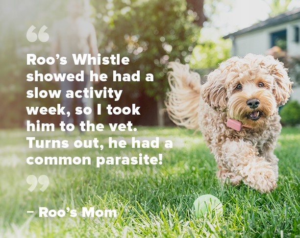 activity image with quote