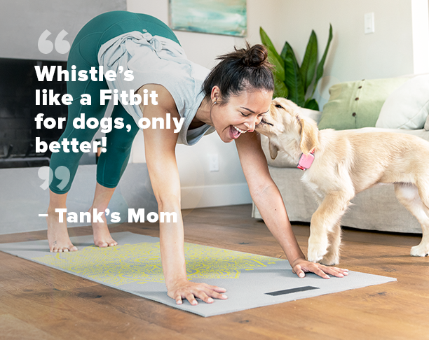 celebrate with quote