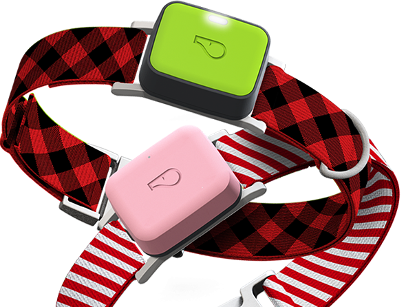 Whistle Go Family on Collars