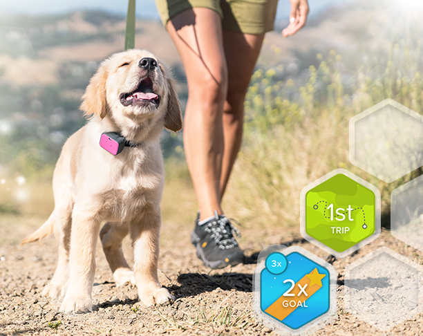 badges image with ui