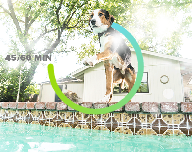 activity image with ui