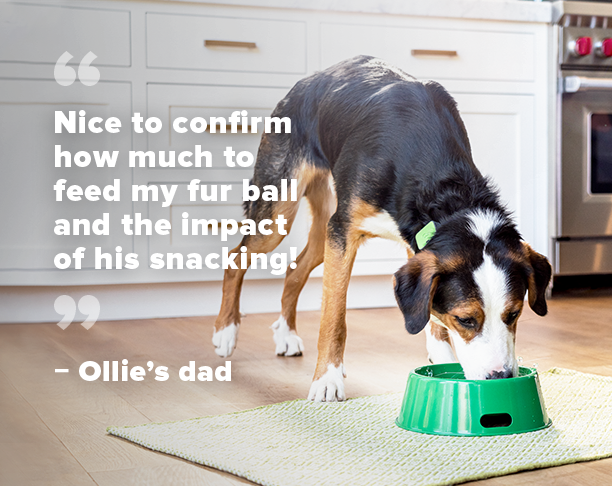 celebrate with quote