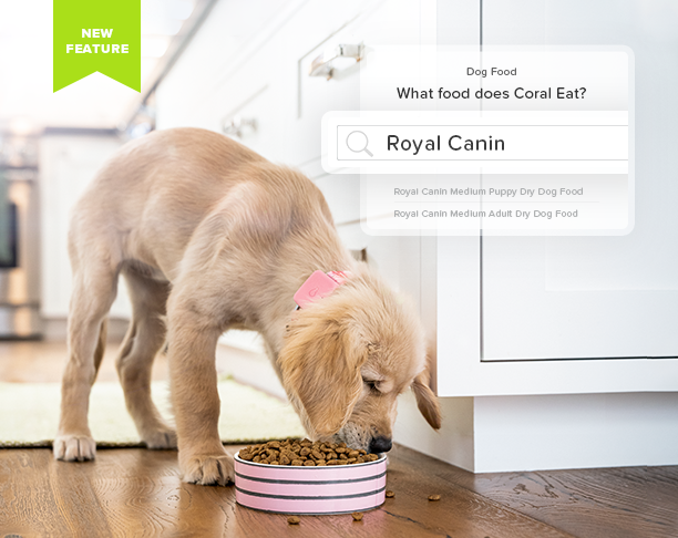 badges image with ui