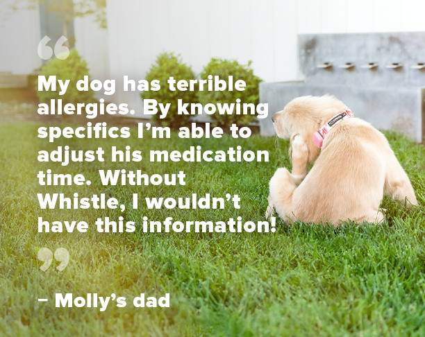 health image with ui