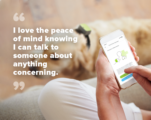 health image with ui