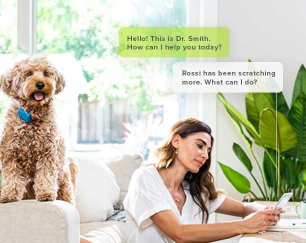 health image with ui