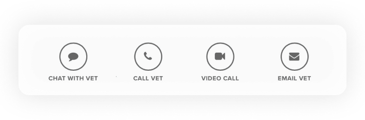 Whistle app navigation
