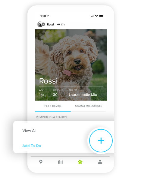 Reminders on the Whistle app