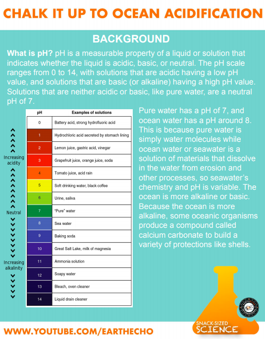 Snack-Sized Science: Chalk It Up to Ocean Acidification Worksheet