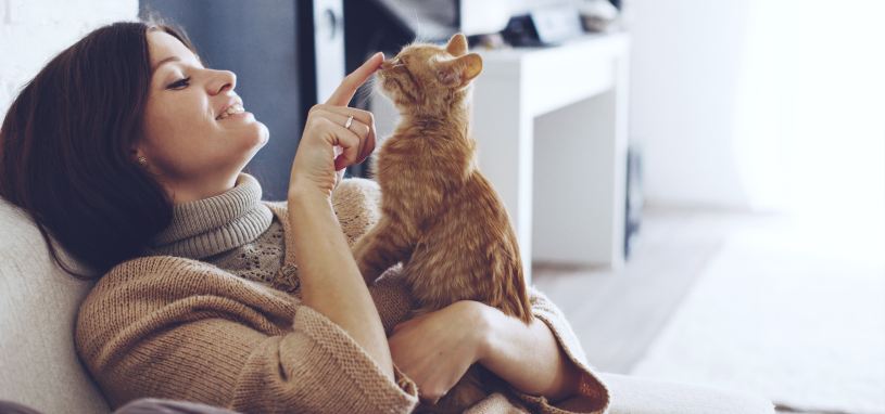 pet in rental property