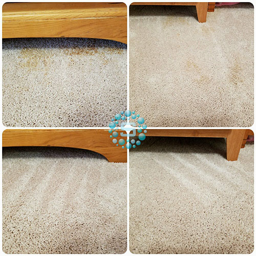 Sheboygan County Carpet Cleaning SarrikClean