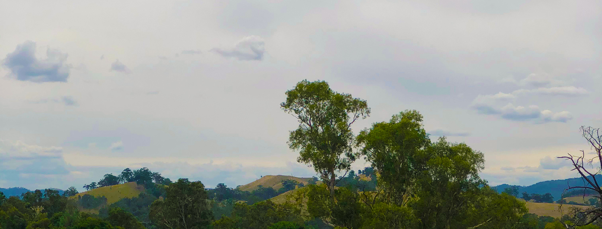 View from the Faith Office