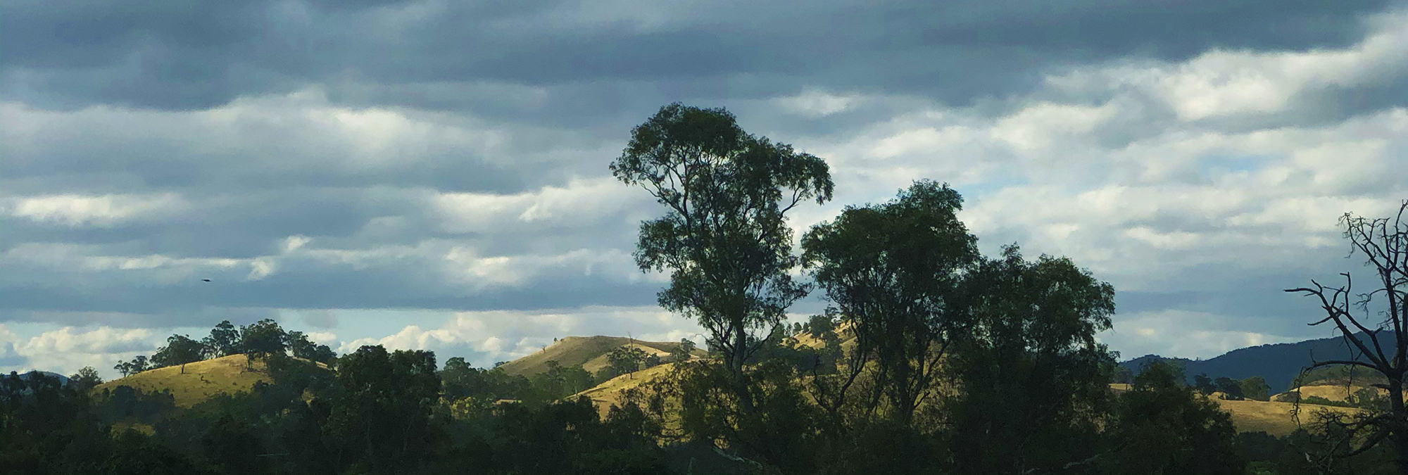 View from the Faith Office