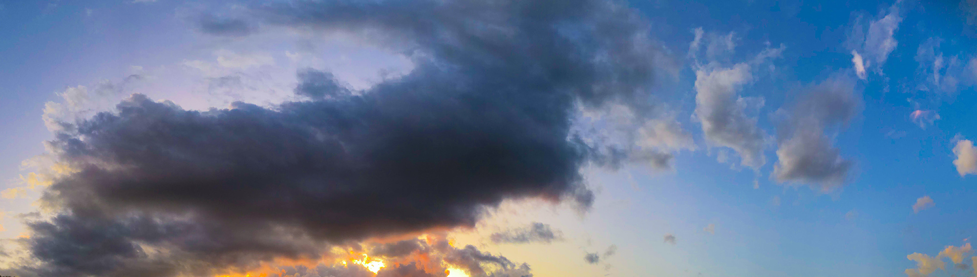 Reflection on Sunday Readings