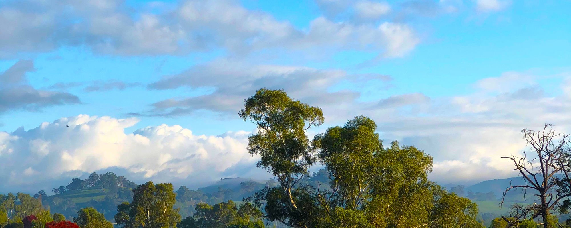 View from the Faith Office