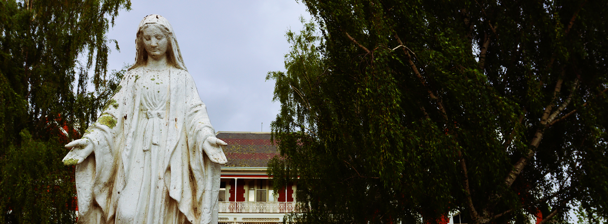 The Life of Dr James Cummins