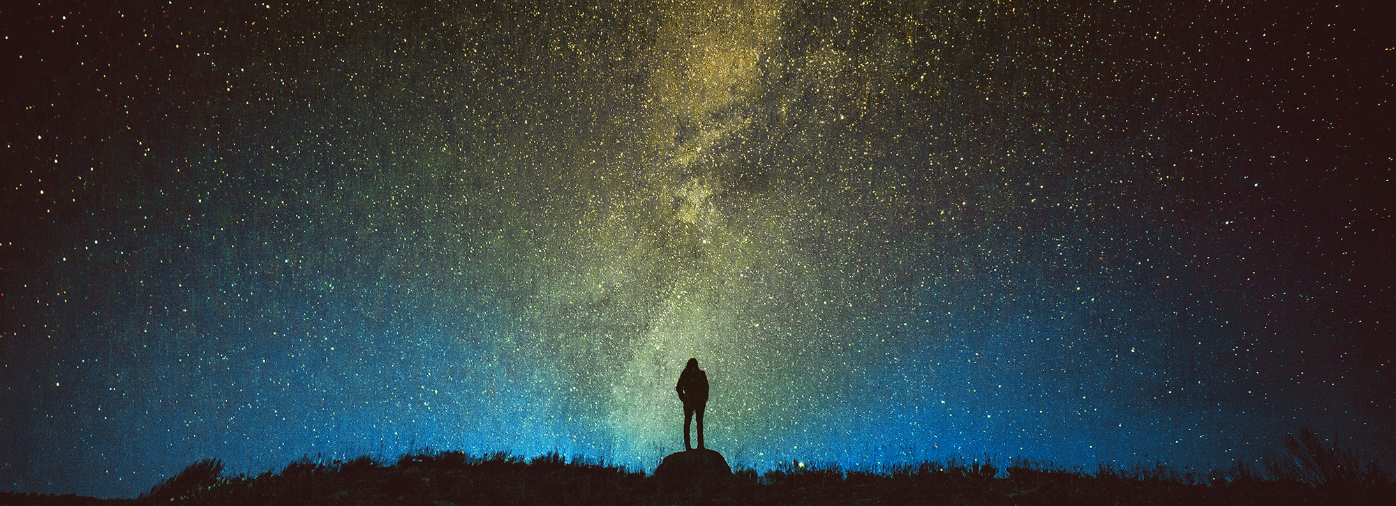 Shandon Calls Autumn 2020