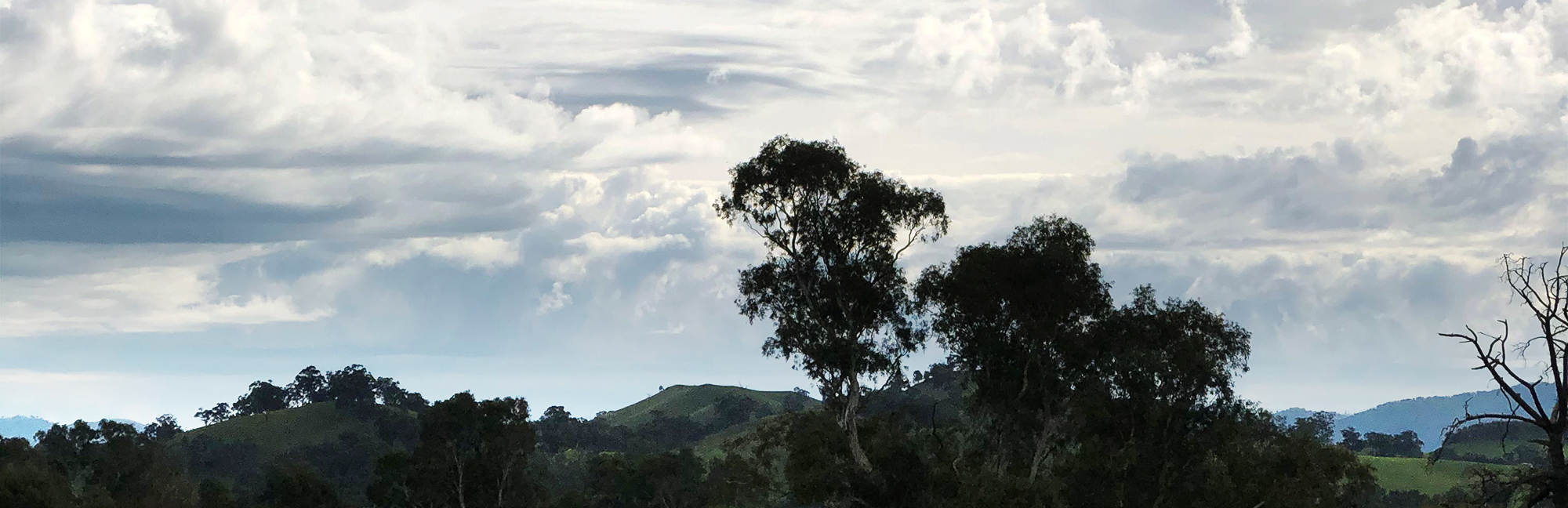 View from the Faith Office