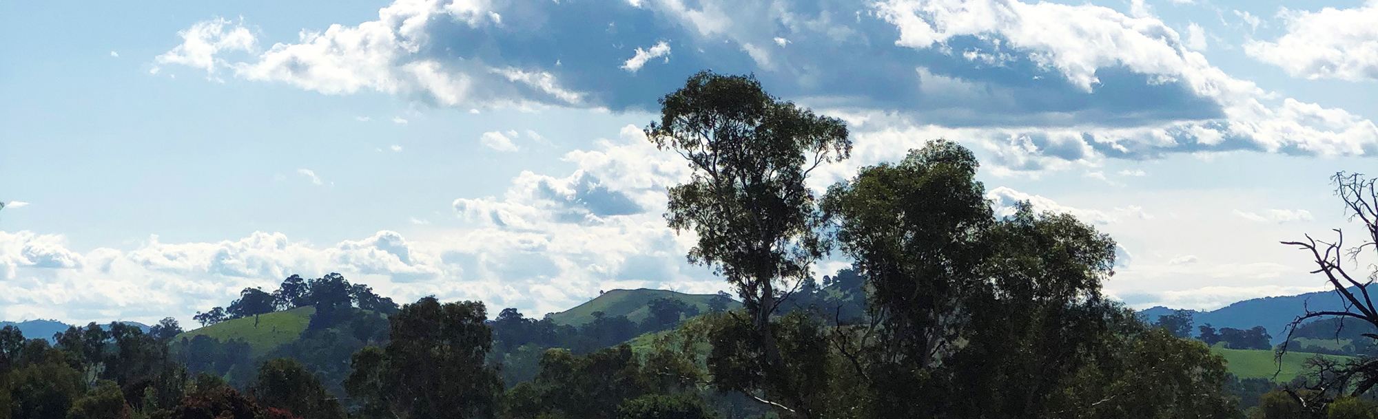 View from the Faith Office