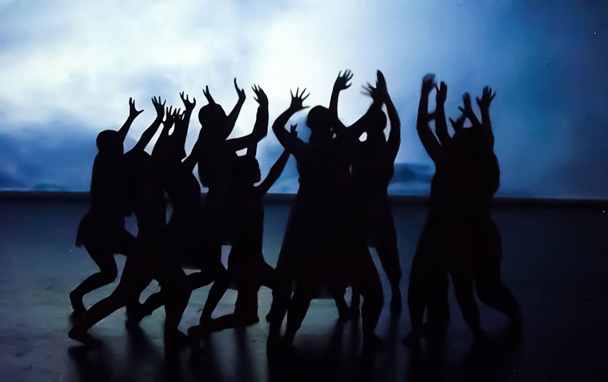 Culture & Dance Update!