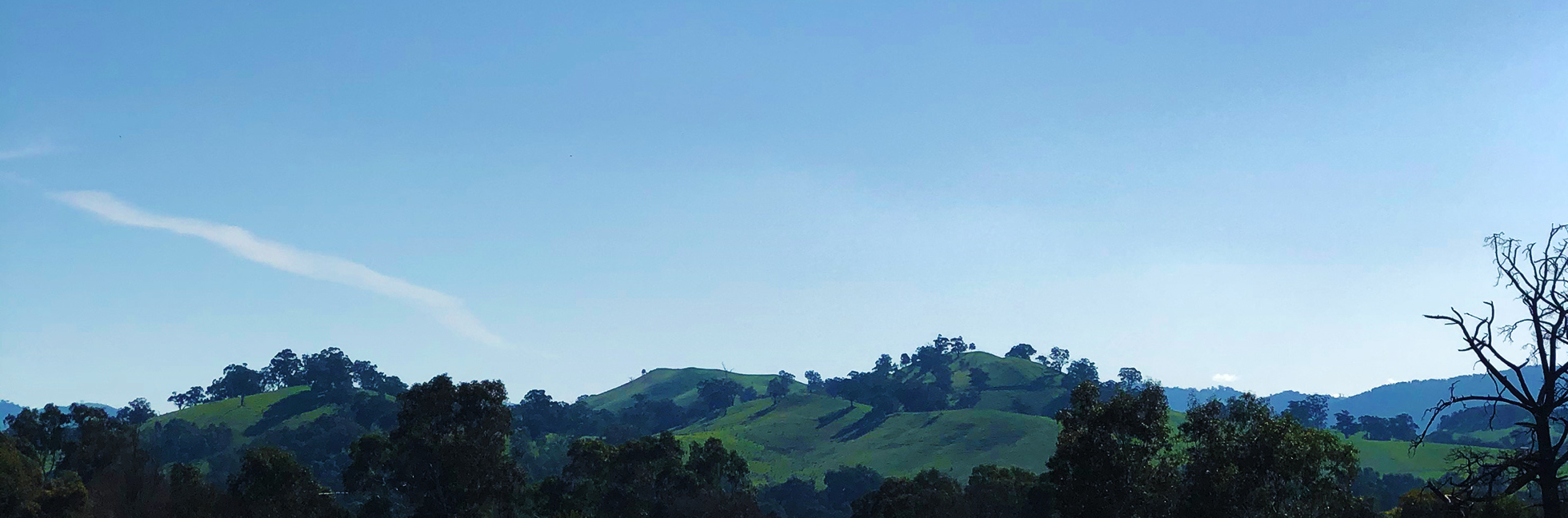 View from the Faith Office