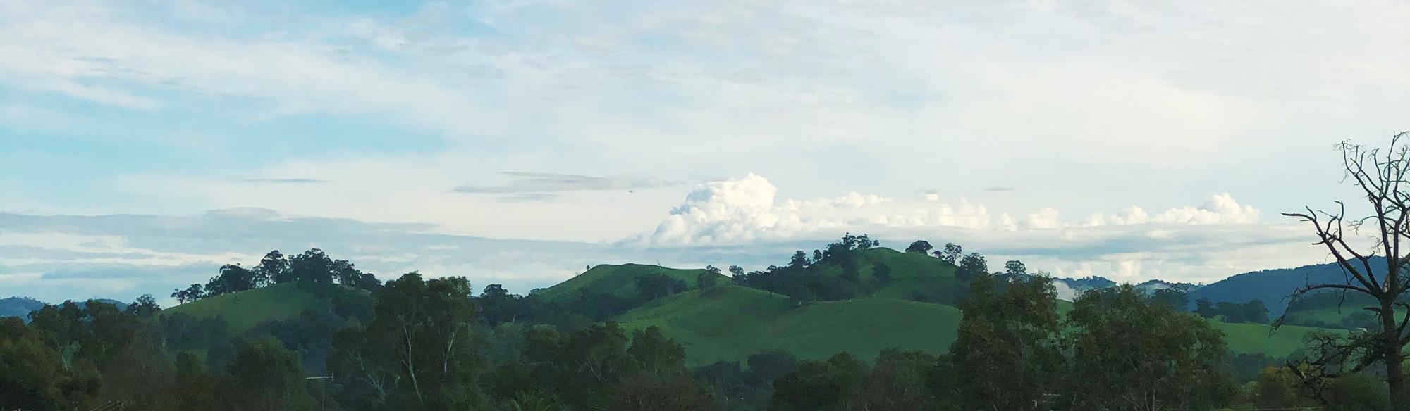 View from the Faith Office