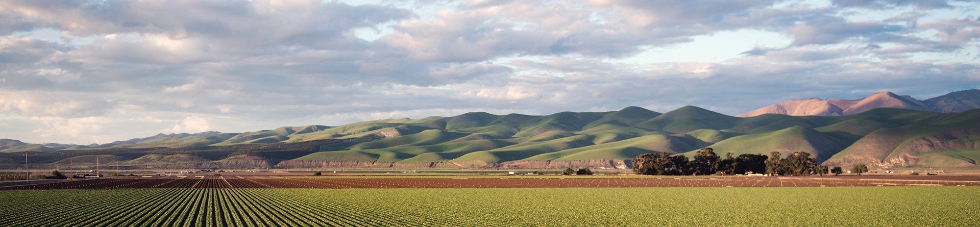 Social Justice Update