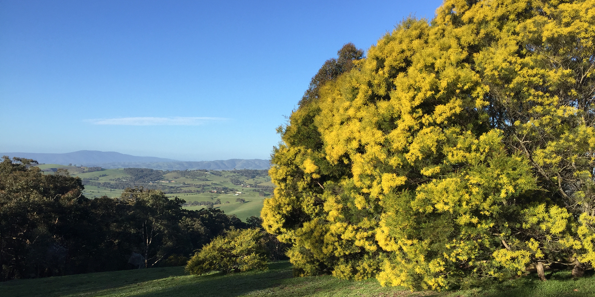 View from the Faith Office
